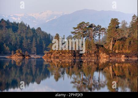 La riserva naturale nazionale di Glen Affric fotografata in primavera con la calda luce del mattino presto con i resti dell'antica pineta caledoniana sulle isole boscose Foto Stock