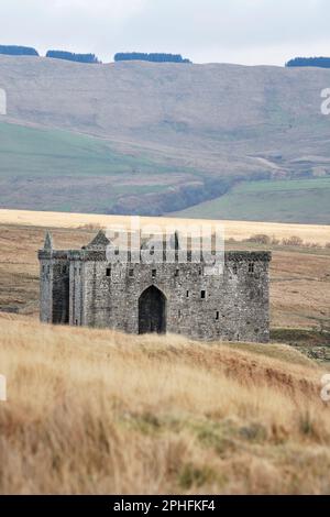 Hermitage Castle, un castello medievale semi-rovinato risalente al 1300, che è sotto la cura della Scozia storica, Liddlesdale, Roxburghshire. Foto Stock