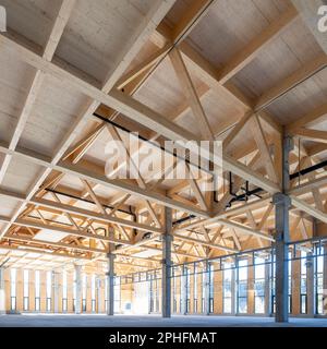 moderno salone industriale con travi in legno e colonne prefabbricate in cemento con molti elementi di facciata in vetro Foto Stock