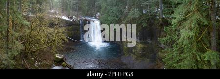 Silver Creek scorre sulle splendide Upper North Falls vicino a Silverton, Oregon. Questa zona panoramica e fortemente boschiva ospita molte impressionanti cascate. Foto Stock