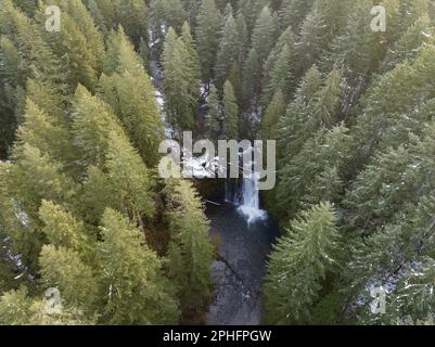 Silver Creek scorre sulle splendide Upper North Falls vicino a Silverton, Oregon. Questa zona panoramica e fortemente boschiva ospita molte impressionanti cascate. Foto Stock