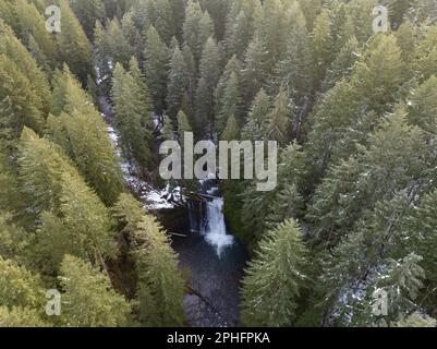 Silver Creek scorre sulle splendide Upper North Falls vicino a Silverton, Oregon. Questa zona panoramica e fortemente boschiva ospita molte impressionanti cascate. Foto Stock