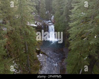 Silver Creek scorre sulle splendide Upper North Falls vicino a Silverton, Oregon. Questa zona panoramica e fortemente boschiva ospita molte impressionanti cascate. Foto Stock