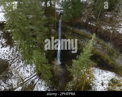 Silver Creek scorre su una splendida cascata vicino a Silverton, Oregon. Questa zona panoramica e fortemente boschiva ha molte cascate impressionanti. Foto Stock