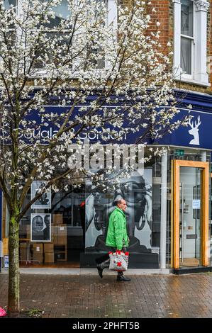 Londra, Regno Unito. 28th Mar, 2023. Un segno dei tempi moderni - un mercato immobiliare debole come i tassi di interesse aumentano e il tempo sempre più estremo e instagionale come il riscaldamento globale morde - la gente precipita da un agente immobiliare chiuso a Clapham in tempo piovoso freddo sotto i fiori di ciliegia di primavera. Credit: Guy Bell/Alamy Live News Foto Stock