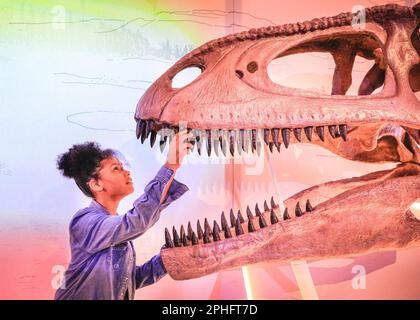 Londra, Regno Unito. 28th Mar, 2023. (IMBARCATO fino al 29th Mer, 19,30:00 BST, i modelli per bambini sono entrambi rilasciati dal museo) Eva (10) esplora la testa e i denti di una mostra. Il Titanosaur (Titanosaur Patagotitan Mayorum), la più grande creatura conosciuta che abbia mai camminato sul nostro pianeta, è esposto per la prima volta in Europa. In mostra fino al 7 gennaio presso il Museo di Storia Naturale di South Kensington. Credit: Imageplotter/Alamy Live News Foto Stock