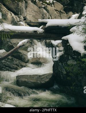 Una fotografia verticale di un piccolo ruscello d'acqua che scorre tra rocce innevate in una foresta invernale Foto Stock