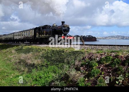 Motore cisterna classe 4200 GWR n. 4277 Hercules che passa Goodrington sulla ferrovia a vapore di Dartmouth con un treno per Kingswear. Foto Stock