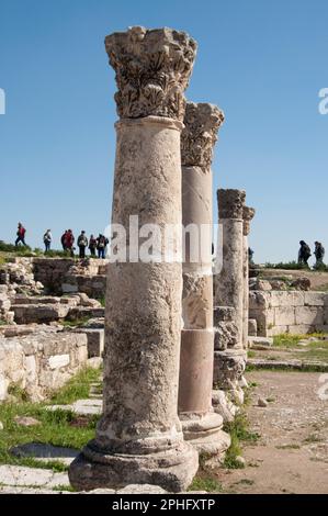 Resti della Chiesa Bizantina (530 d.C.), della Cittadella, di Amman, di Giordania (chiaramente utilizzando colonne e capitelli dei templi romani). Foto Stock