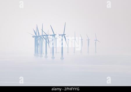 Winfarm in mare nella nebbia, turbine eoliche che producono elettricità al largo delle coste di Copenaghen, Danimarca. Un esempio di produzione di energia rinnovabile Foto Stock