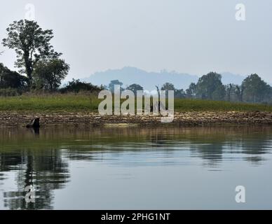 Una piccola isola lacustre a Dumboor . Con acqua limpida e riflesso di alberi in una giornata di sole . Foto Stock