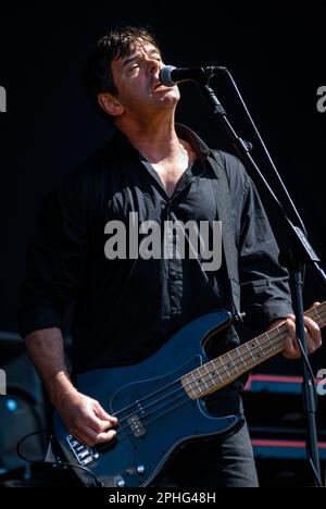 Jean-Jacques Burnel - The Strangler, V2008, Hylands Park, Chelmsford, Essex, Regno Unito - 17 agosto 2008 Foto Stock