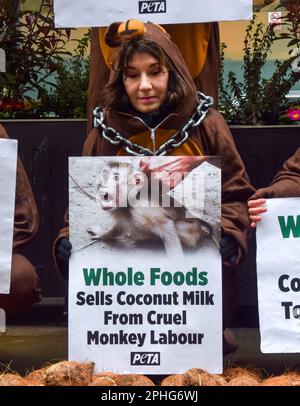 Durante la protesta, un attivista tiene un cartello accusando Whole Foods di vendere latte di cocco "da crudele scimmie labor". Gli attivisti DI PETA (persone per il trattamento etico degli animali) vestiti come scimmie incatenate hanno organizzato una dimostrazione al di fuori di Whole Foods Market vicino a Piccadilly Circus per protestare contro la catena di supermercati che vende latte di cocco dalla Thailandia. Secondo PETA, le loro indagini hanno rivelato l'uso sistemico di scimmie rapite dalla natura selvaggia e costrette a raccogliere noci di cocco per uso commerciale. (Foto di Vuk Valcic/SOPA Images/Sipa USA) Foto Stock