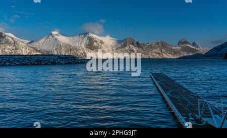 Vista panoramica sui fiordi e sulle ripide montagne innevate da Senja, Norvegia. Barca, pesci secchi, cespugli innevati e betulle sulla spiaggia. inverno Foto Stock