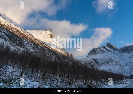 Vista panoramica sui fiordi e sulle ripide montagne innevate da Senja, Norvegia. Barca, pesci secchi, cespugli innevati e betulle sulla spiaggia. inverno Foto Stock