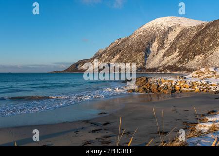 Vista panoramica sui fiordi e sulle ripide montagne innevate da Senja, Norvegia. Barca, pesci secchi, cespugli innevati e betulle sulla spiaggia. inverno Foto Stock