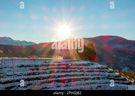 Vigneto con neve in inverno e Sunbeam a collina d'oro con montagna a Lugano, Ticino in Svizzera. Foto Stock