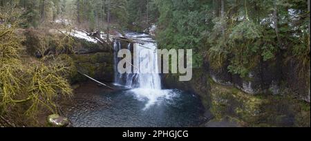 Silver Creek scorre sulle splendide Upper North Falls vicino a Silverton, Oregon. Questa zona panoramica e fortemente boschiva ospita molte impressionanti cascate. Foto Stock