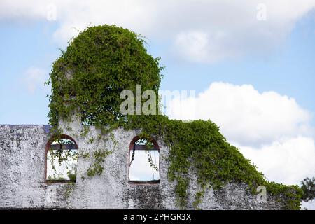 Resti di una chiesa rovinata sull'isola di Cozumel, Messico Foto Stock