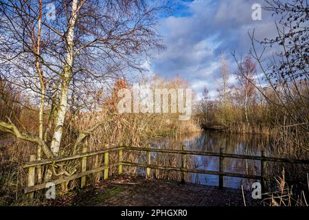 Old Moor, Valle Dearne Foto Stock