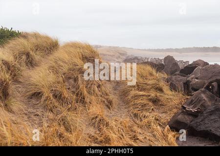 Beach Dunes accanto al molo Rocky Coastline lungo l'Oceano Pacifico Foto Stock