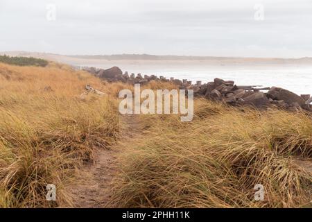Sentiero attraverso le dune di spiaggia fino a Jetty lungo l'Oceano Pacifico Foto Stock