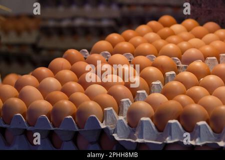 Uova in vendita al mercato la Boqueria di Barcellona, Spagna Foto Stock