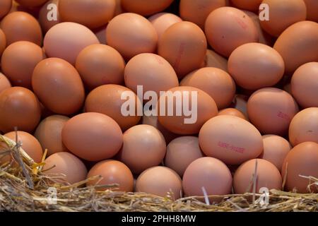 Uova in vendita al mercato la Boqueria di Barcellona, Spagna Foto Stock