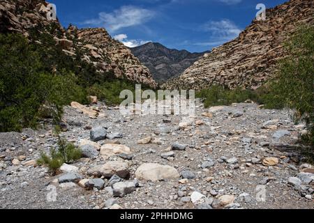 Lost Creek nella Red Rock Canyon National Conservation Area, Nevada, USA Foto Stock