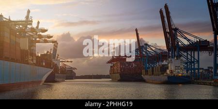 Tramonto nel porto di Amburgo presso il terminal Waltershofer Hafen Foto Stock