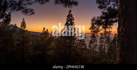 Vista panoramica degli alberi contro il tramonto del cielo sulle montagne di tenerife Foto Stock