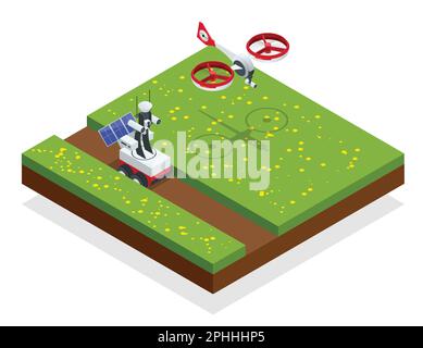 Uso di un drone per controllare la crescita delle colture, l'idratazione della posta e dei parassiti. Automazione agricola concetto di agricoltura intelligente. Illustrazione del vettore isometrico Illustrazione Vettoriale