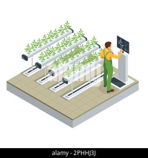 Serra industriale intelligente e moderna isometrica. Robot di intelligenza artificiale in agricoltura. Cibo biologico, agricoltura e concetto idroponico. Illustrazione Vettoriale