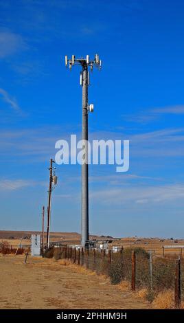 Cellulare torre in California Foto Stock