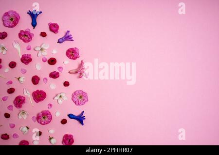 Layout pasquale creativo. motivo orizzontale con fiori primaverili su sfondo rosa. spazio di copia. vista dall'alto. giacitura piatta Foto Stock