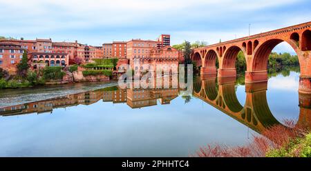 Vista panoramica del centro storico di Albi, Pont Neuf ponte e il fiume Tarn, Francia Foto Stock