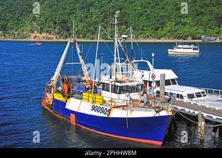 La pesca in barca in Porto Picton Queen Charlotte Sound, Marlborough Sounds, regione di Marlborough, Isola del Sud, Nuova Zelanda Foto Stock