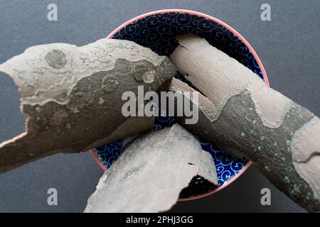 Tre pezzi di corteccia dell'albero in una ciotola decorativa - aereo di Londra - (Platanus x hispanica) Foto Stock