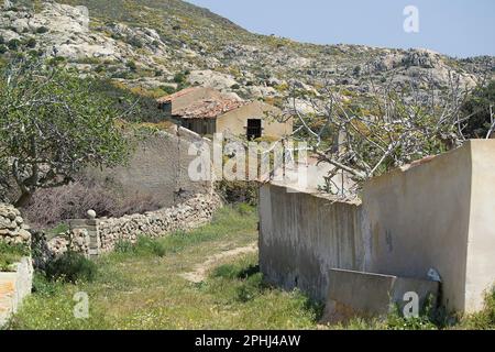 Case abbandonate a Tumbarino. Caso a Tumbarino, Isola dell'Asinara, Parco Marino dell'Asinara. P.to Torres, Sardegna. Italia Foto Stock