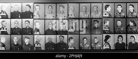 Simi Valley, California, Stati Uniti. 28th Mar, 2023. Colpi di tazza di prigionieri, parte del ''Auschwitz. Non molto tempo fa. Non lontano.'' Mostra delle atrocità dell'Olocausto ora aperta al pubblico presso la biblioteca e il museo presidenziale Ronald Reagan fino al 13 agosto 2023. Oltre 700 oggetti originali e 400 fotografie di oltre 20 istituzioni e musei di tutto il mondo sono in vista.(Credit Image: © Brian Cahn/ZUMA Press Wire) SOLO PER USO EDITORIALE! Non per USO commerciale! Foto Stock