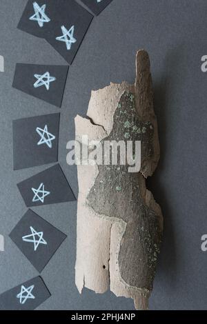 Corteccia dell'albero - aereo di Londra - (Platanus x hispanica) - con stelle Foto Stock