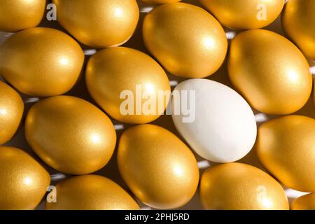 Uovo di pollo ordinario tra quelli dorati su sfondo bianco, vista dall'alto Foto Stock