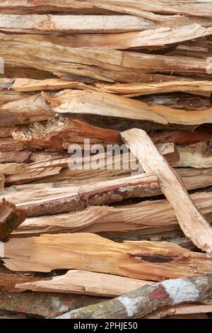 legna da ardere tagliata, preparazione per l'inverno, camino o stufa, tronchi di alberi tagliati impilati per carburante alternativo in full frame naturale struttura di legno fondo Foto Stock