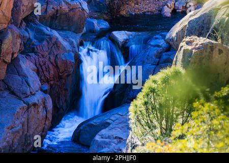 La luce diretta, la luce riflessa e l'ombra creano una colorata scena pomeridiana a valle della cascata Second Crossing sull'East Verde River vicino a Payson. Foto Stock