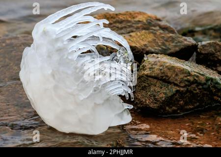 Lakeshore Ice Formations al lago Hefner a Oklahoma City, Oklahoma, USA Foto Stock