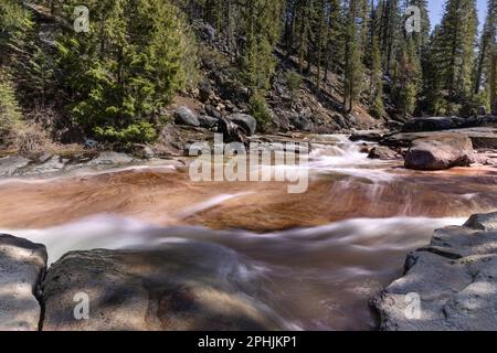 Paesaggio di alberi sempreverdi accanto alle rapide del fiume Merced nel Parco Nazionale di Yosemite lungo il Panorama Trail nel Parco Nazionale di Yosemite. Foto Stock