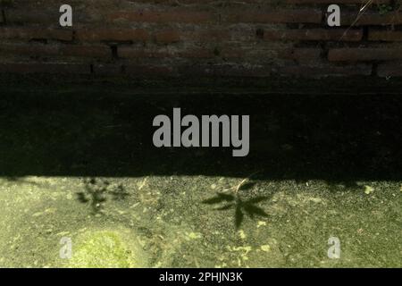 Il resto di una piscina reale al Palazzo Surosowan, un patrimonio culturale del periodo Sultanato di Banten situato in un'area ora chiamata Banten lama (Old Banten) a Serang, Banten, Indonesia, in questa foto scattata nel 2010. "La sostenibilità del patrimonio culturale è fortemente legata all'effettiva partecipazione delle comunità locali alla conservazione e alla gestione di queste risorse", secondo un team di scienziati guidati da Sunday Oladipo Oladeji nel loro articolo di ricerca pubblicato su Sage Journals il 28 ottobre 2022. L'area di Banten lama (Old Banten) era una parte dell'importante porto di... Foto Stock