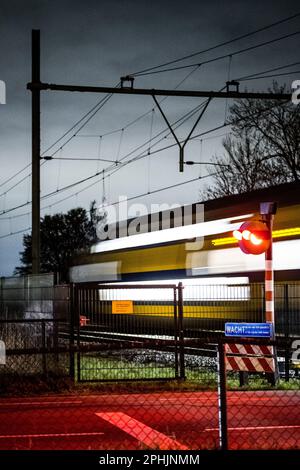 ESCH - Un treno corre in pista tra Den Bosch e Boxtel nel Brabante Nord. Il traffico ferroviario è ripreso dopo una settimana senza treni sulla rotta perché i tassi avevano scavato burrows sotto i binari di Esch e Vught. Da allora i badge si sono spostati e la pista è stata ripristinata. ANP ROB ENGELAAR olanda fuori - belgio fuori Foto Stock