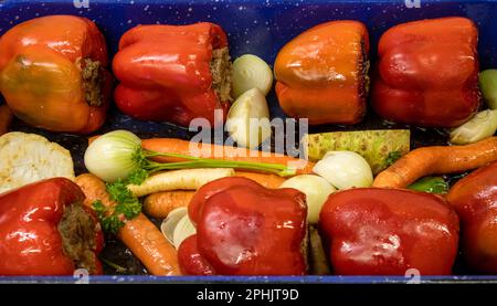 Kochen gefüllte Paprika Foto Stock