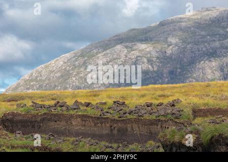 Banca della torba lavorata nelle Highlands scozzesi, Lewis, Isola di Lewis, Ebridi, Ebridi esterne, Western Isles, Scozia, Regno Unito Foto Stock